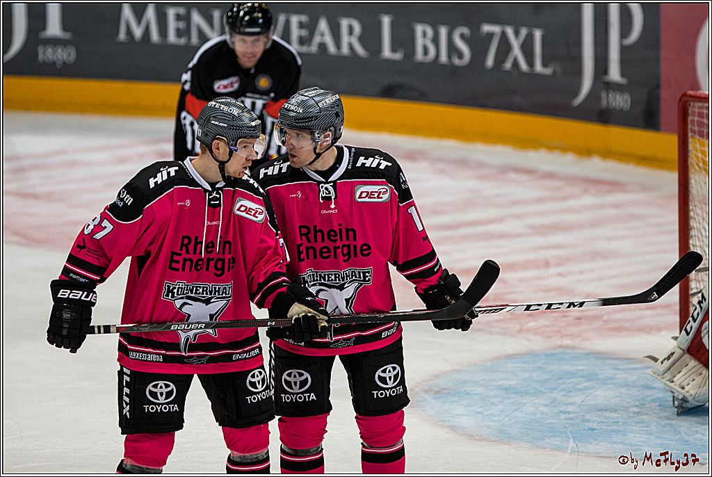 Koelner Haie - Adler Mannheim, 30.10.2016